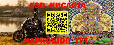 PSILOCYBIN Ставрополь
