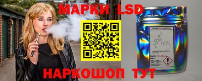 стаф Сланцы