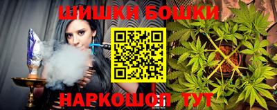 стаф Сланцы